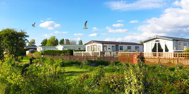 Book your 2025 holiday with Newman's at Brean Sands Book your 2025 holiday with Newman's at Brean Sands