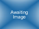 Awaiting Image